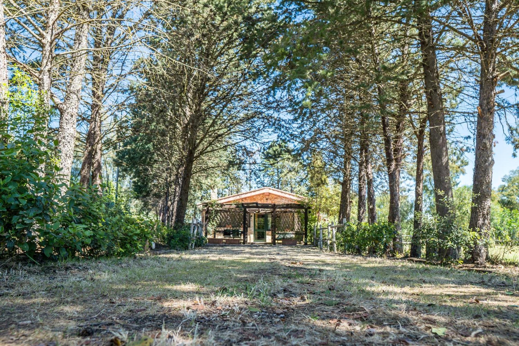 Вилла Fattoria Dei Piani Srl Ольмедо Экстерьер фото